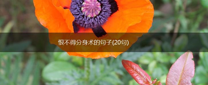恨不得分身术的句子(20句),第1张