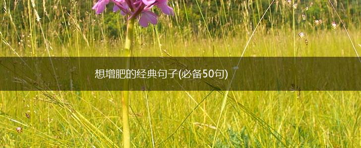 想增肥的经典句子(必备50句),第1张