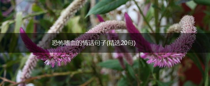 恐怖嗜血的情话句子(精选20句),第1张