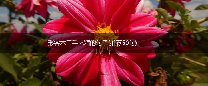 形容木工手艺精的句子(推荐50句),第1张