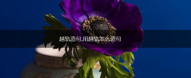 越轨造句,用越轨怎么造句,第1张
