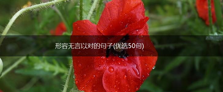 形容无言以对的句子(优选50句),第1张