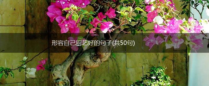 形容自己厨艺好的句子(共50句),第1张