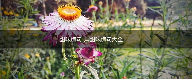 甜味造句_用甜味造句大全,第1张