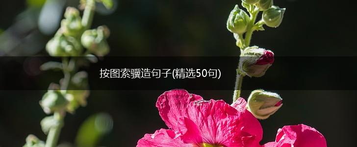 按图索骥造句子(精选50句),第1张