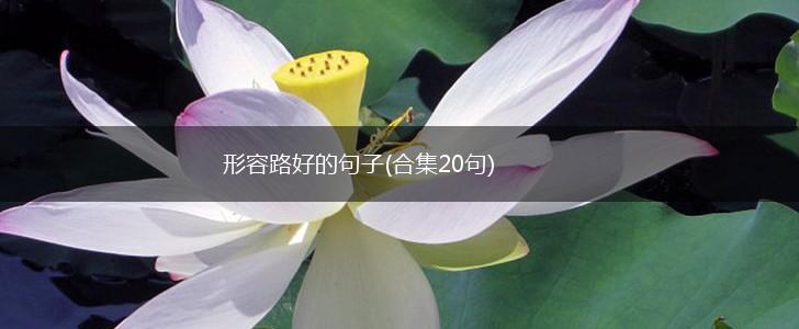形容路好的句子(合集20句),第1张