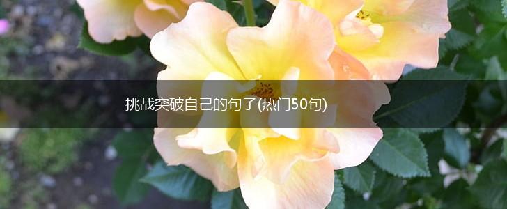 挑战突破自己的句子(热门50句),第1张