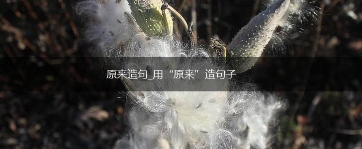原来造句_用“原来”造句子,第1张