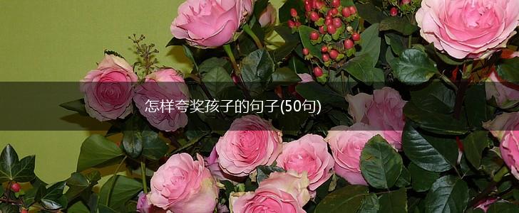 怎样夸奖孩子的句子(50句),第1张