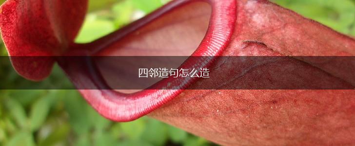 四邻造句怎么造,第1张