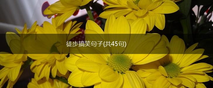 徒步搞笑句子(共45句),第1张