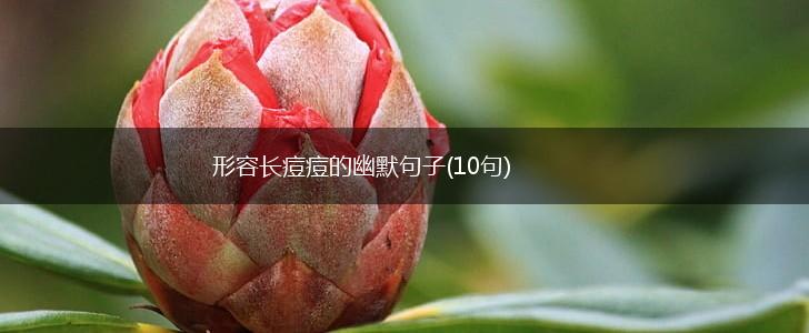 形容长痘痘的幽默句子(10句),第1张