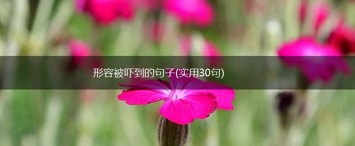 形容被吓到的句子(实用30句),第1张