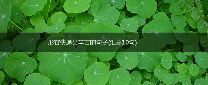 形容快递员辛苦的句子(汇总10句),第1张