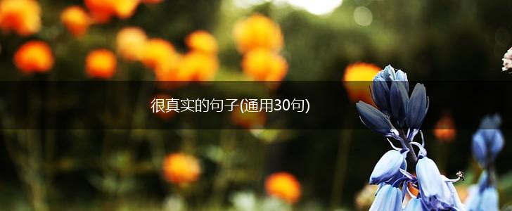 很真实的句子(通用30句),第1张
