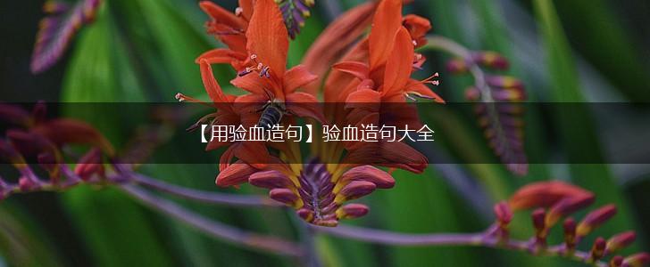 【用验血造句】验血造句大全,第1张