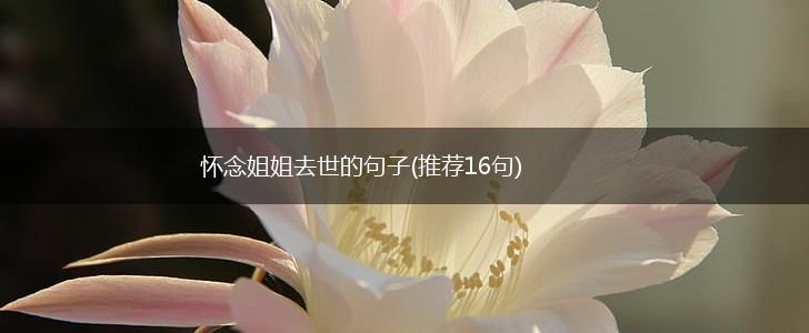 怀念姐姐去世的句子(推荐16句),第1张