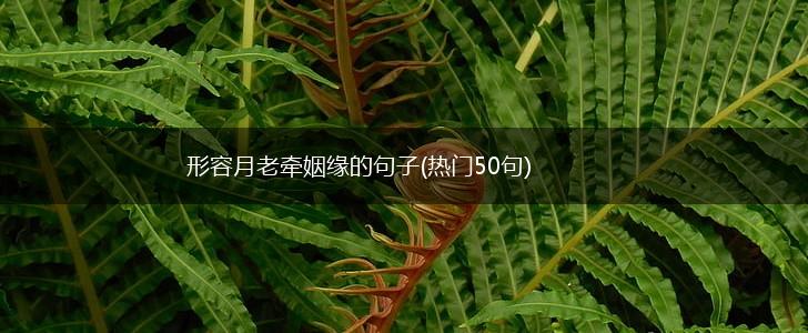 形容月老牵姻缘的句子(热门50句),第1张