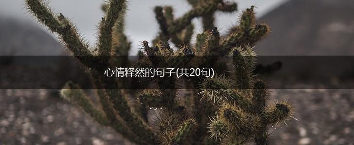 心情释然的句子(共20句),第1张
