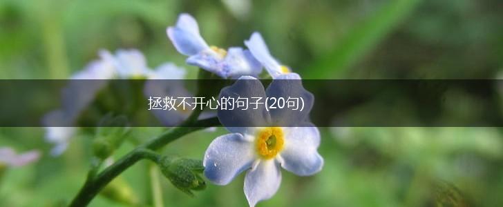 拯救不开心的句子(20句),第1张