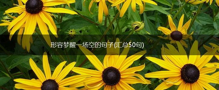 形容梦醒一场空的句子(汇总50句),第1张
