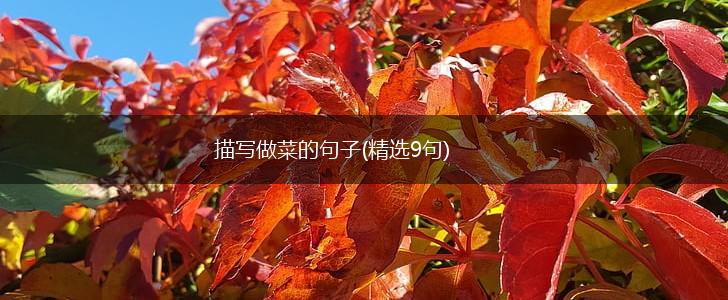 描写做菜的句子(精选9句),第1张