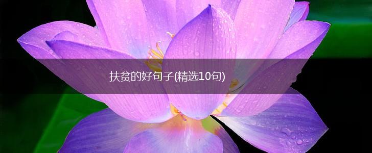 扶贫的好句子(精选10句),第1张