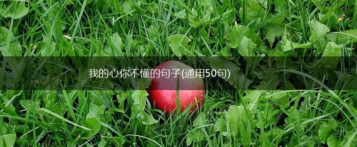 我的心你不懂的句子(通用50句),第1张