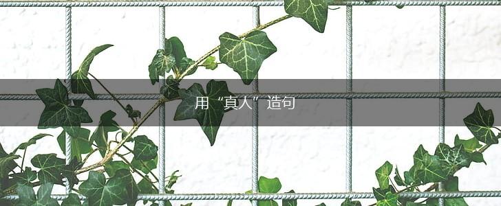 用“真人”造句,第1张