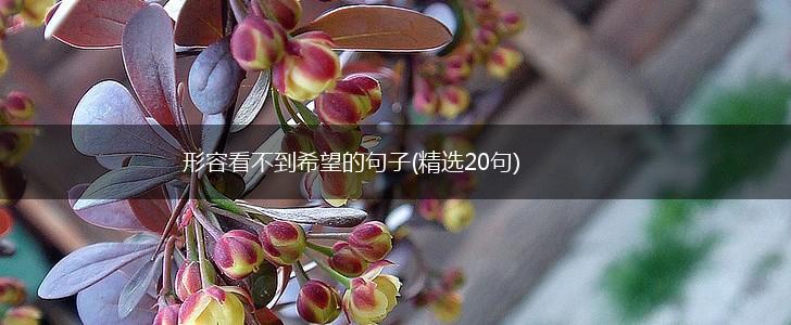 形容看不到希望的句子(精选20句),第1张