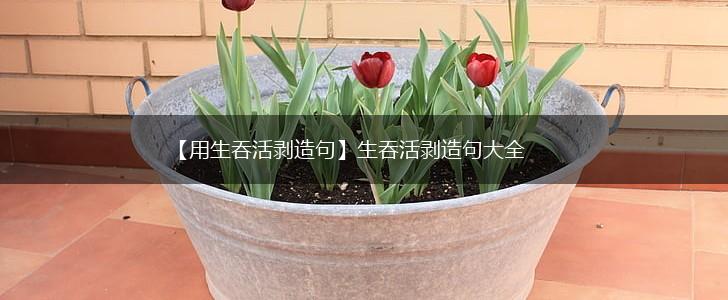【用生吞活剥造句】生吞活剥造句大全,第1张