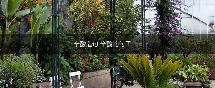 辛酸造句 辛酸的句子,第1张