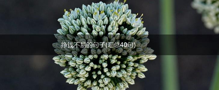 挣钱不易的句子(汇总40句),第1张