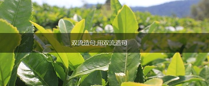 双流造句,用双流造句,第1张
