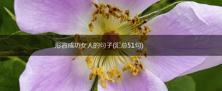 形容成功女人的句子(汇总51句),第1张