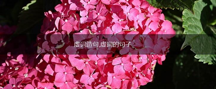 虚词造句,虚词的句子,第1张