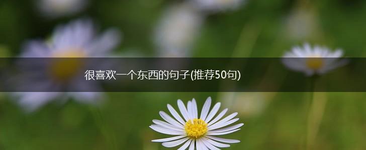 很喜欢一个东西的句子(推荐50句),第1张