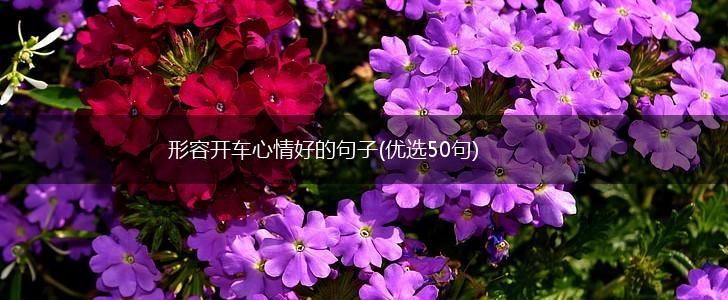 形容开车心情好的句子(优选50句),第1张