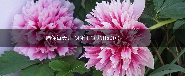 愿你每天开心的句子(实用50句),第1张