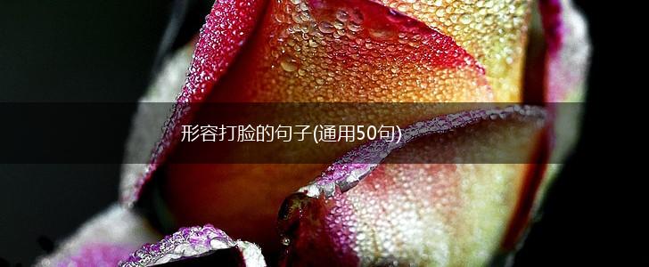 形容打脸的句子(通用50句),第1张