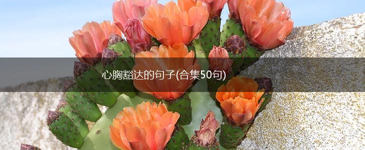 心胸豁达的句子(合集50句),第1张