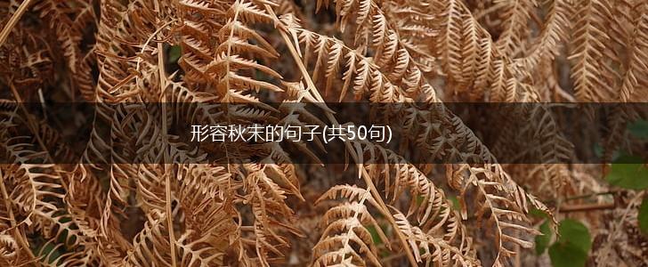 形容秋末的句子(共50句),第1张