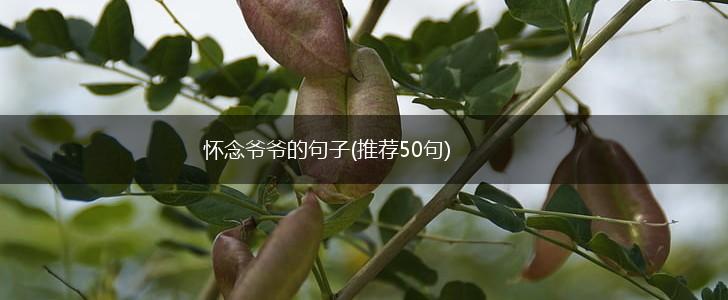 怀念爷爷的句子(推荐50句),第1张