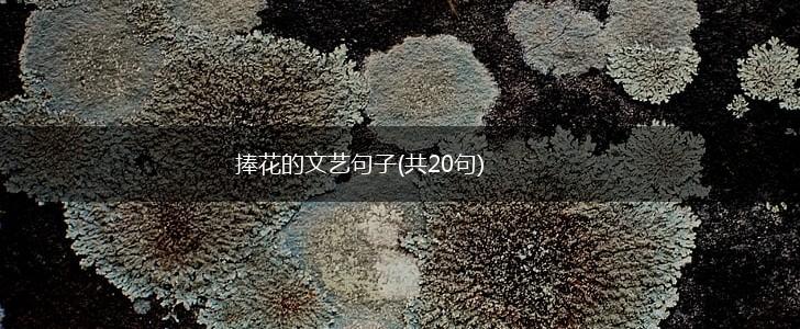 捧花的文艺句子(共20句),第1张