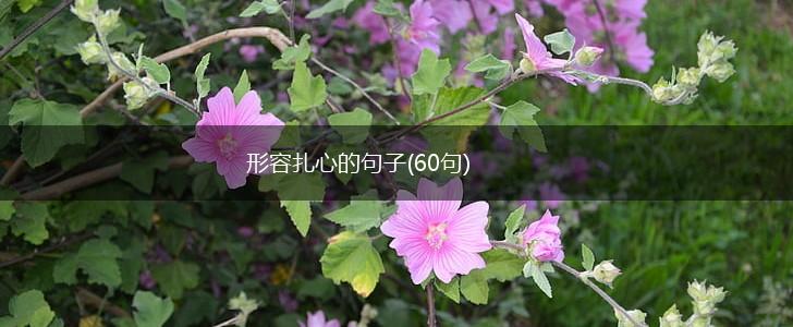 形容扎心的句子(60句),第1张