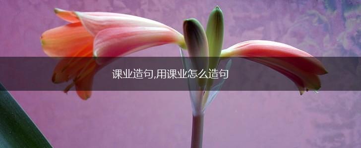 课业造句,用课业怎么造句,第1张