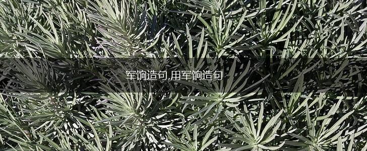 军饷造句,用军饷造句,第1张
