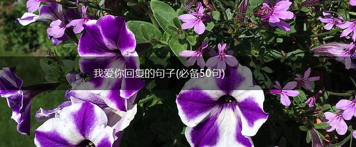 我爱你回复的句子(必备50句),第1张