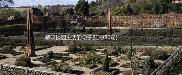 感叹校园生活的句子(汇总30句),第1张