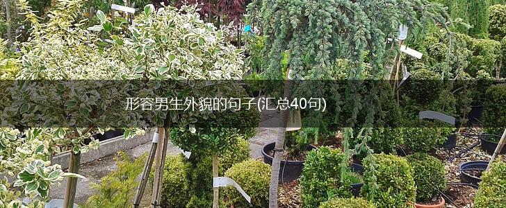 形容男生外貌的句子(汇总40句),第1张